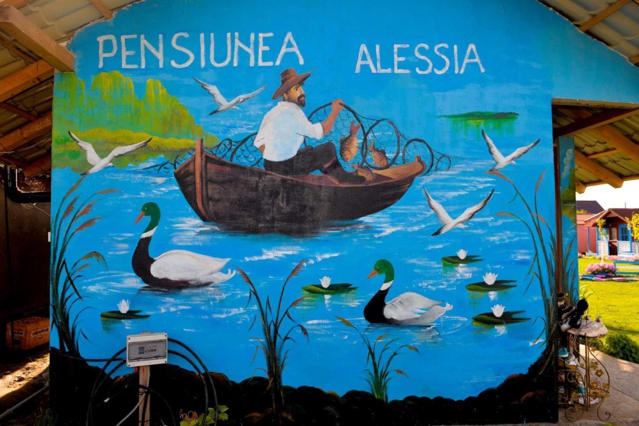 Pensiunea Alessia Murighiol Dış mekan fotoğraf
